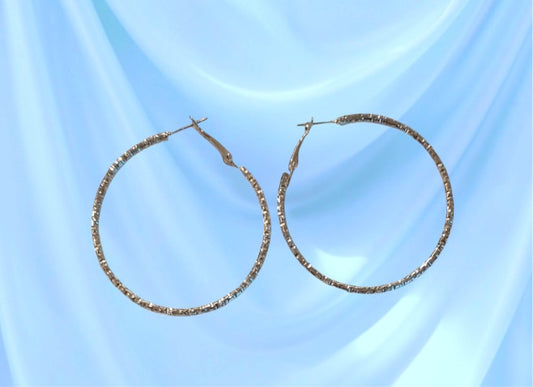 Hammer Hoop Earrings